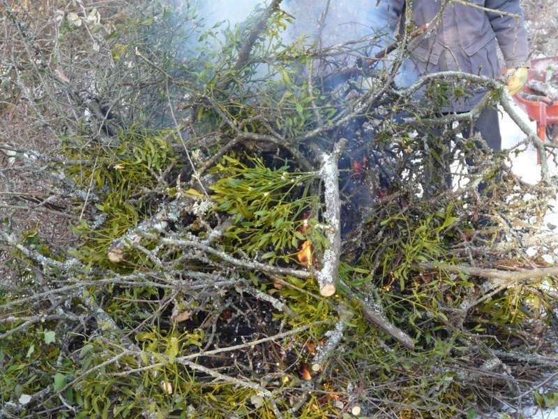 Février 2012 Atelier rencontre au PdH 09